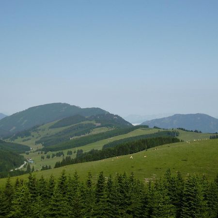 Huberhof Im Almenland Appartement Sankt Kathrein am Offenegg Buitenkant foto