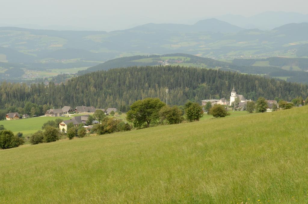 Huberhof Im Almenland Appartement Sankt Kathrein am Offenegg Buitenkant foto