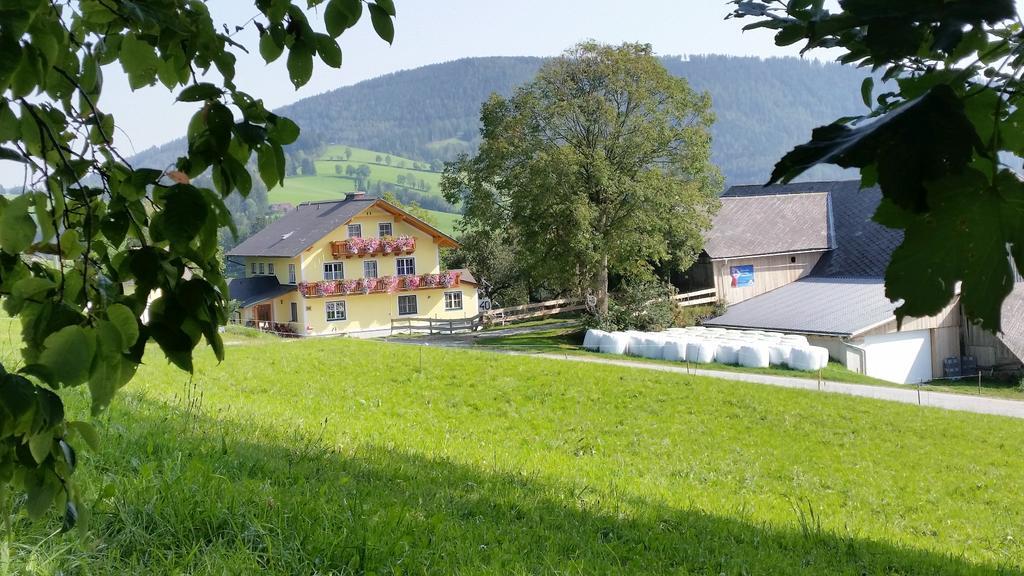 Huberhof Im Almenland Appartement Sankt Kathrein am Offenegg Buitenkant foto